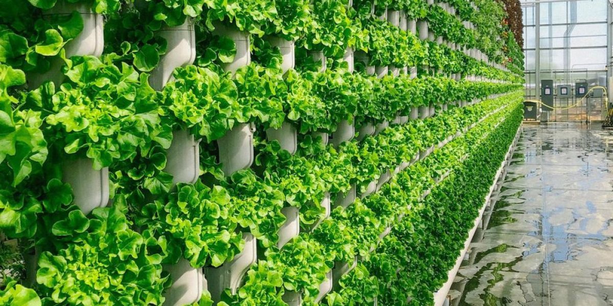 VERTICAL FARMING 001